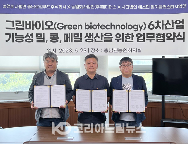 주식회사 드림푸드 이미지