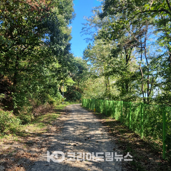[찬샘별곡 Ⅲ-67] 가을 산길도로 산책 한마당
